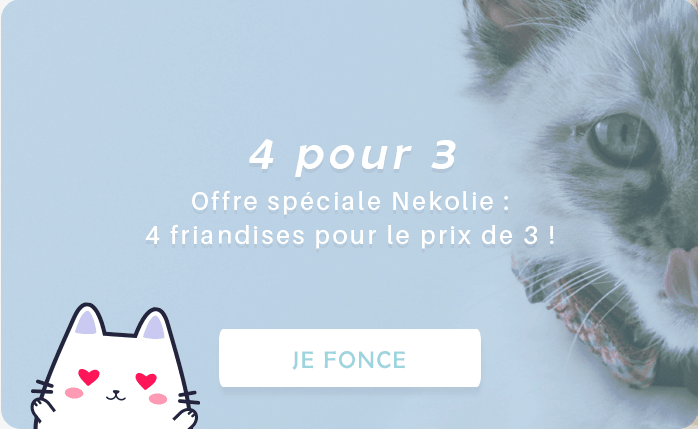 Offre spéciale Nekolie : 4 friandises pour les prix de 3 !